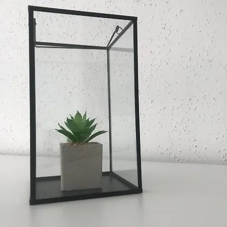 Jlte Apartament