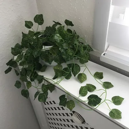 Jlte Apartament